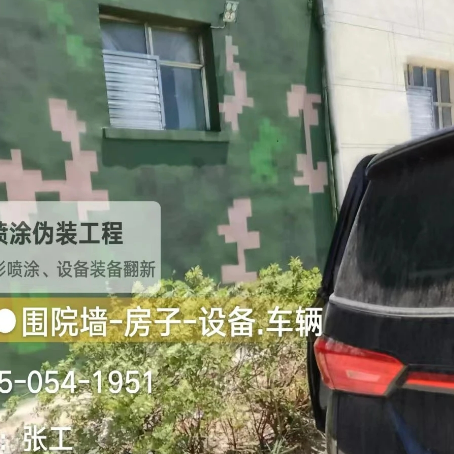 沈阳数码迷彩漆施工